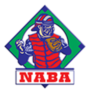 national adult baseball association logo