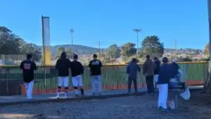 baseball fellowship