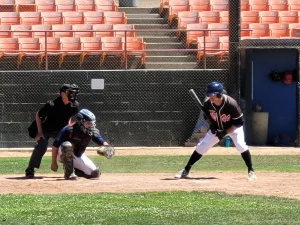 adult baseball league hitter, catcher and umpire