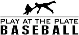 play at the plate logo adult baseball tournaments