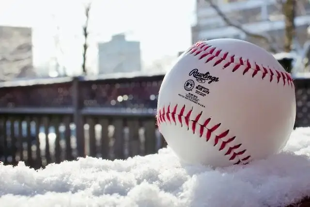 baseball in bad weather snow