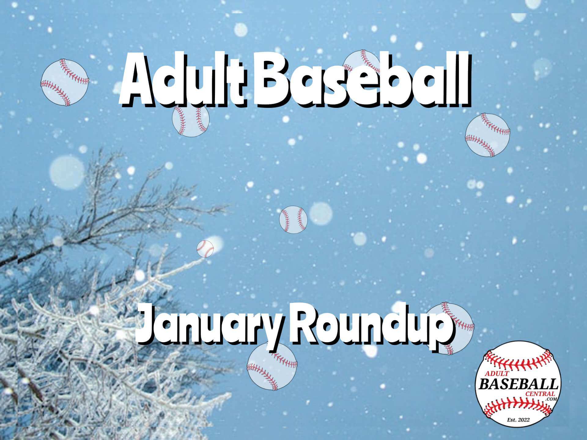 adult baseball january roundup